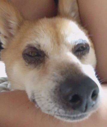 b0229910_08434793.jpg