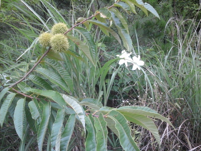 f0253917_81377.jpg