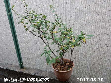 e0033229_18424194.jpg