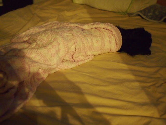 c0117831_16072732.jpg