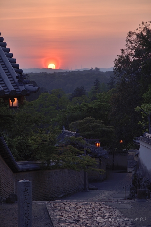 裏参道 帰り道_a0212036_05411961.jpg