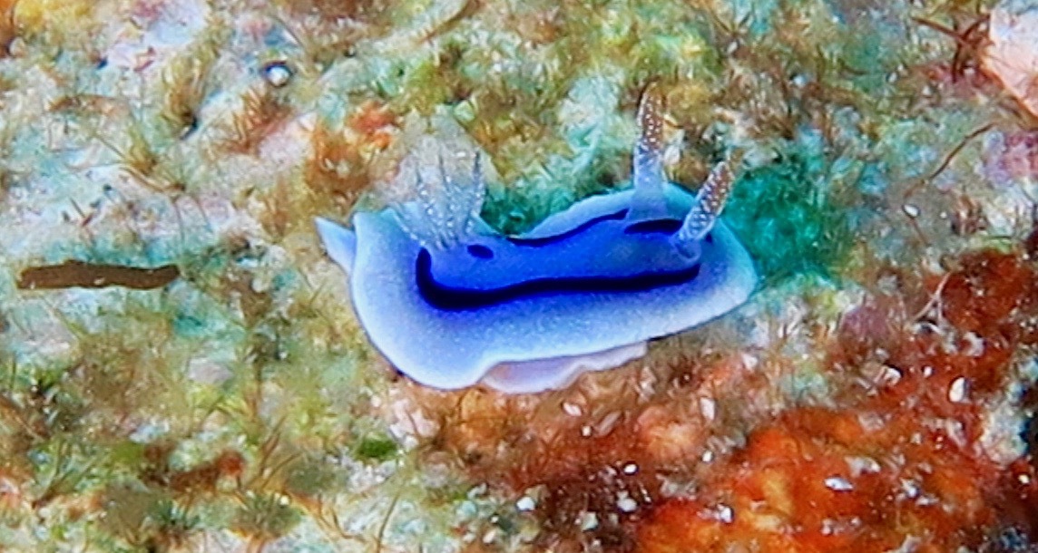 a0122752_18120562.jpg