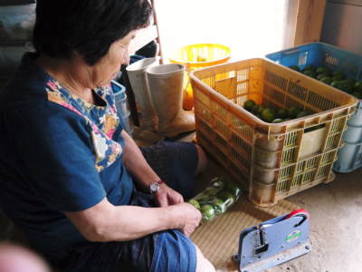 大人気！種なしかぼす　熊本県産の無農で育てた『種なしかぼす』！予約販売の受付を再スタートしました！_a0254656_18415240.jpg