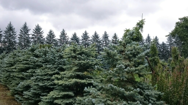 d0298558_23421036.jpg
