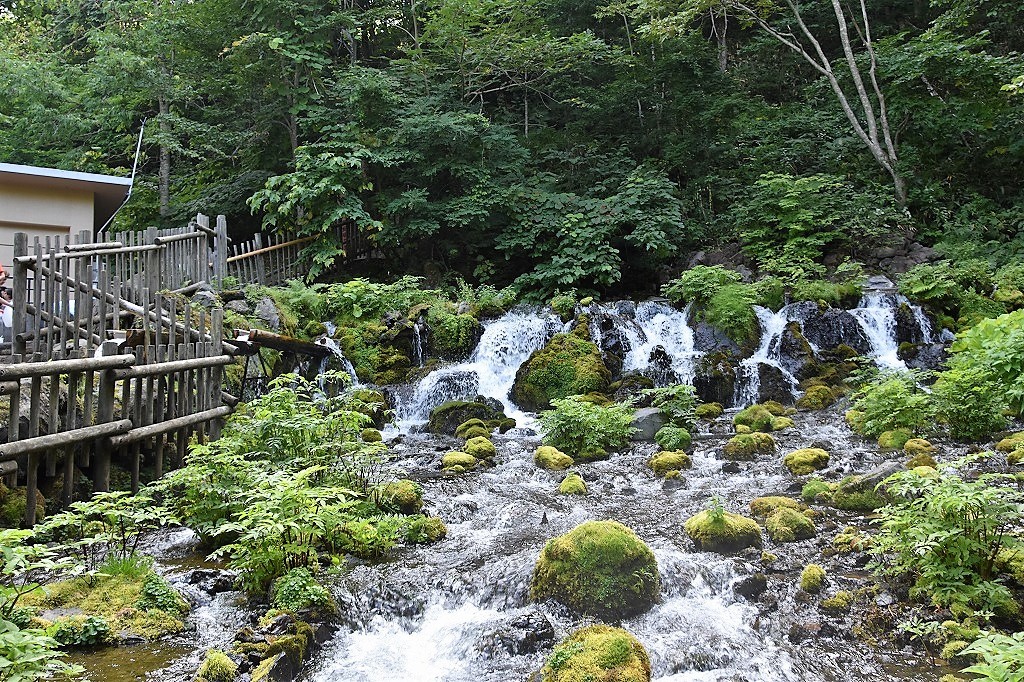 夏の終わり、風景_d0237967_14273519.jpg