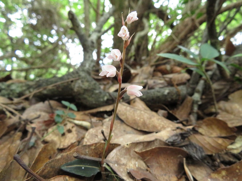 c0042869_77328.jpg