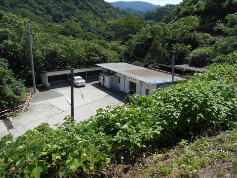 真夏の北日本海鉄道 3 (しなの鉄道/えちごトキめき鉄道/筒石駅)_b0005281_2243986.jpg