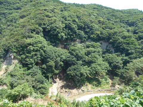 真夏の北日本海鉄道 3 (しなの鉄道/えちごトキめき鉄道/筒石駅)_b0005281_2245234.jpg