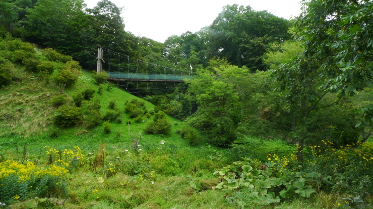 c0212083_19372668.jpg