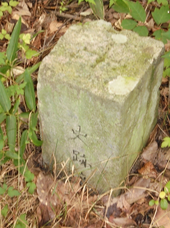 d0355894_21114007.jpg