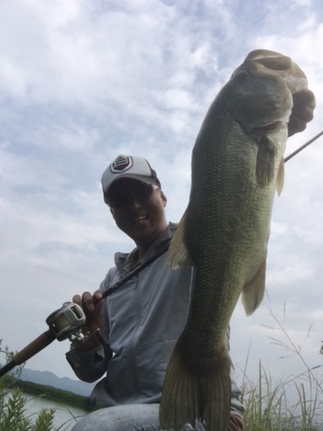 SOW:ラバジ_a0183304_1542273.jpg