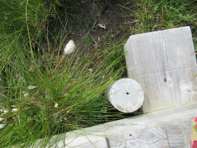 f0297809_01090038.jpg