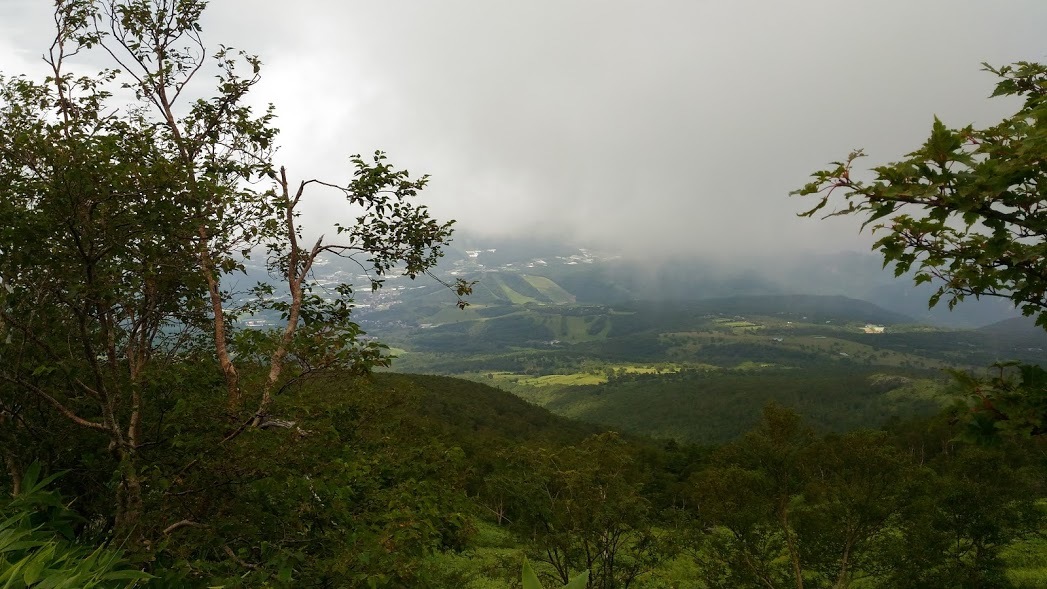 f0229217_08145081.jpg