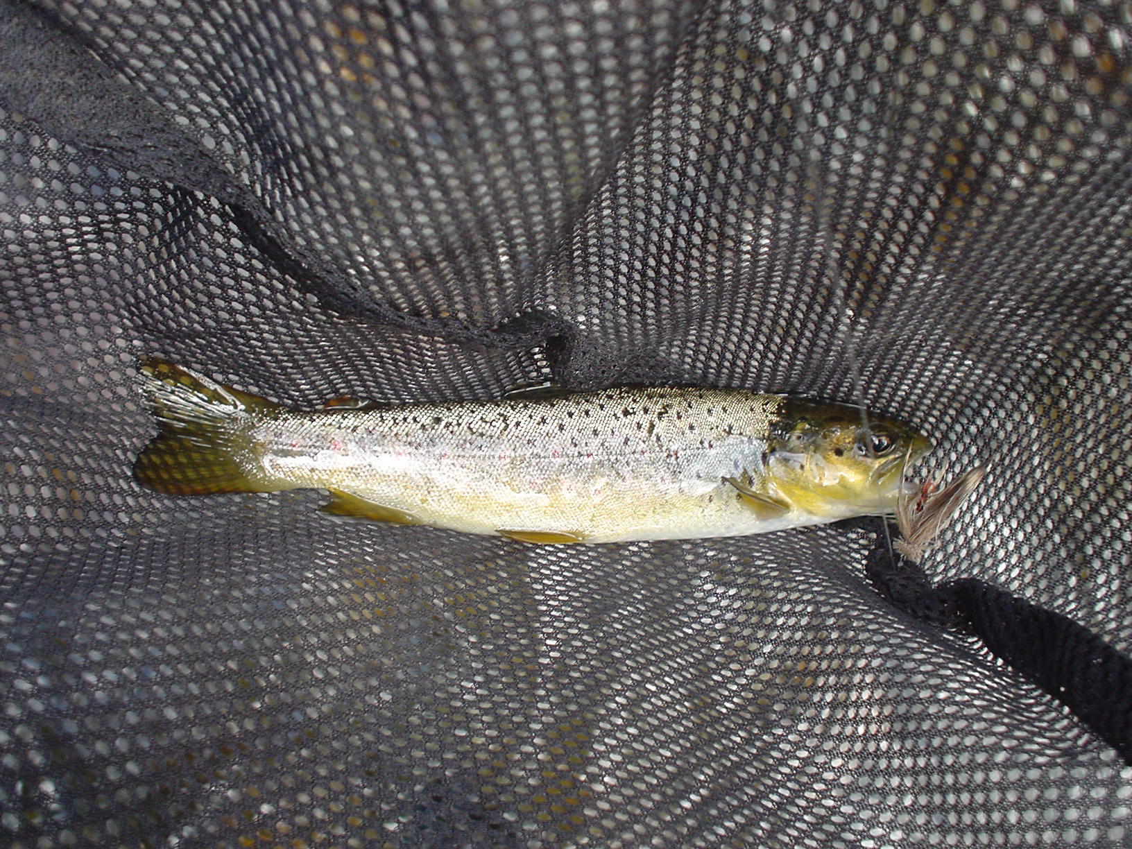 f0280717_16283911.jpg