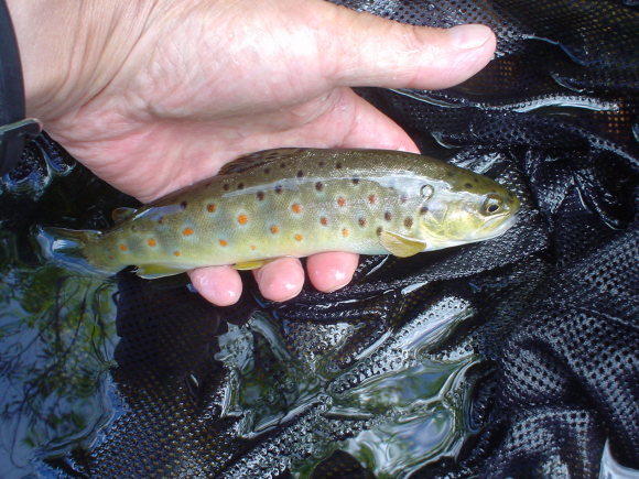 f0280717_16290775.jpg