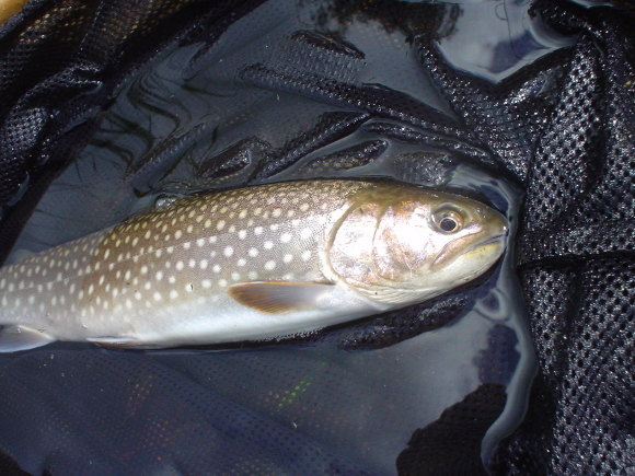 f0280717_16293327.jpg