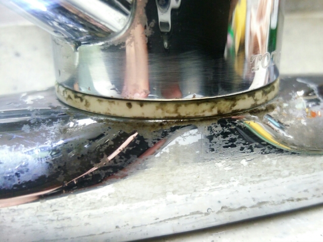 キッチン混合水栓金具のカランの基部から水漏れ_b0113219_23042732.jpg