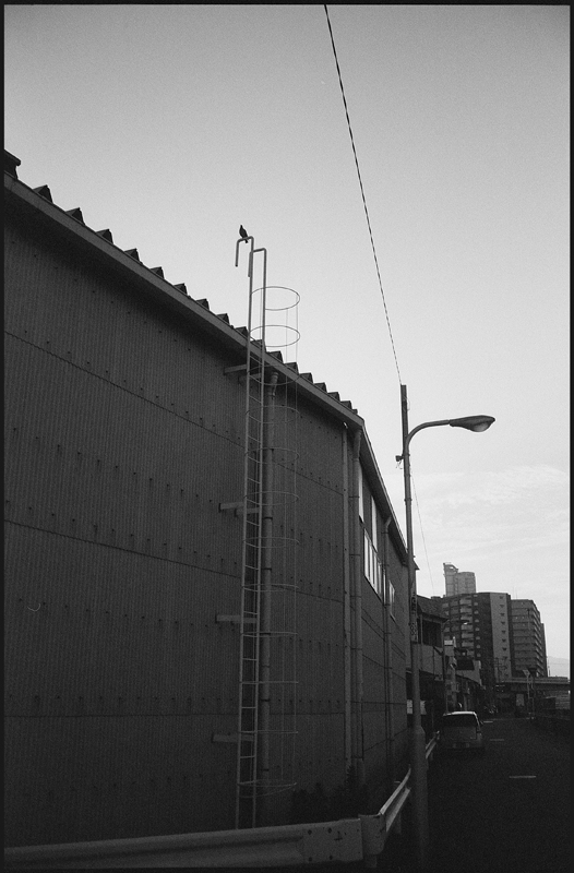 c0176622_19390217.jpg