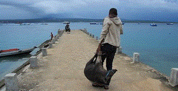 a0054926_13444649.gif