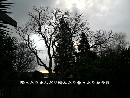 d0042827_17311098.jpg