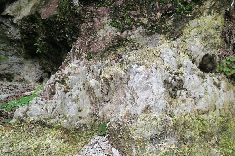 関節とペグマタイト_f0076731_19103941.jpg