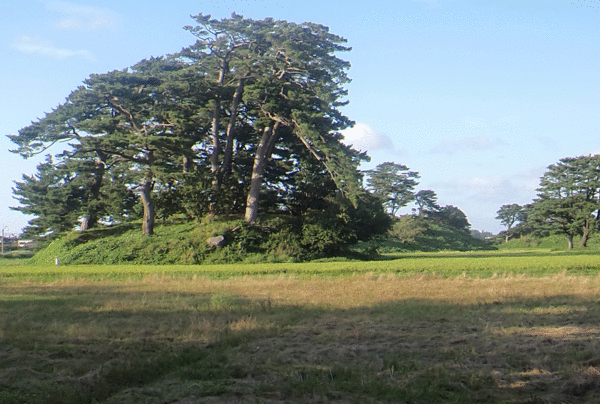 e0371039_1535276.gif