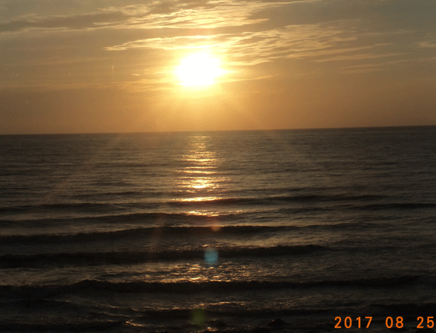 e0371039_1541158.gif
