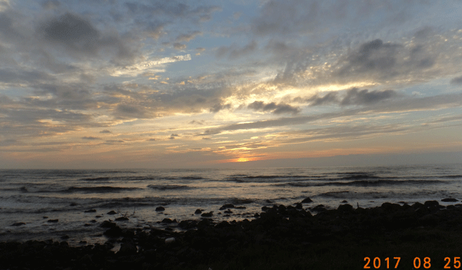 e0371039_1542569.gif