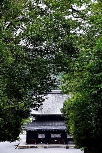 上洛 本命Ⅲ 雲龍院_b0314043_21220437.jpg