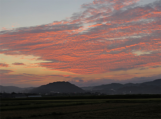 f0214649_04284615.jpg