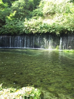 f0364455_00015504.jpg