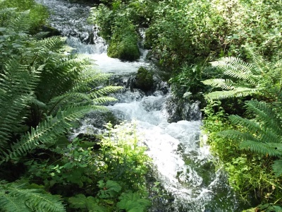 f0364455_00103124.jpg