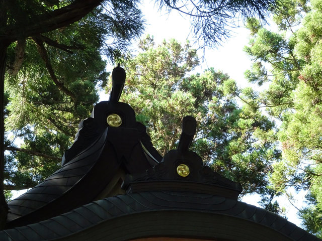 晩夏の野迫川探検!〜山上の集落から脱出せよ!_c0107075_14442814.jpg