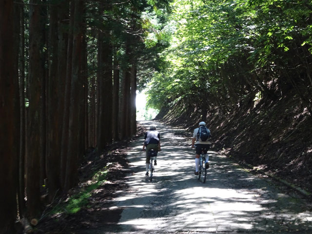 晩夏の野迫川探検!〜山上の集落から脱出せよ!_c0107075_14442924.jpg