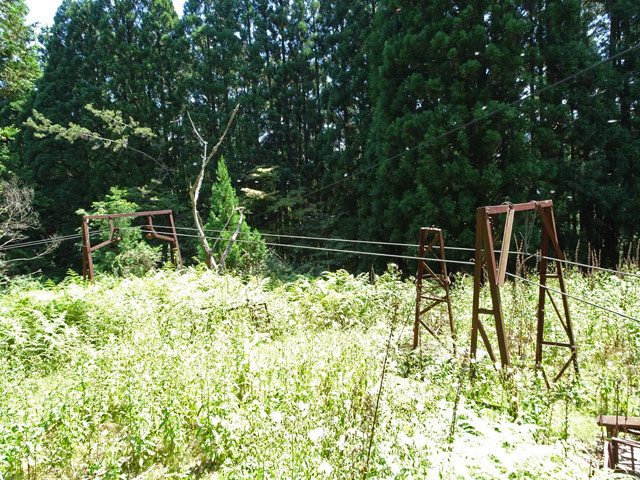 晩夏の野迫川探検!〜山上の集落から脱出せよ!_c0107075_14443923.jpg