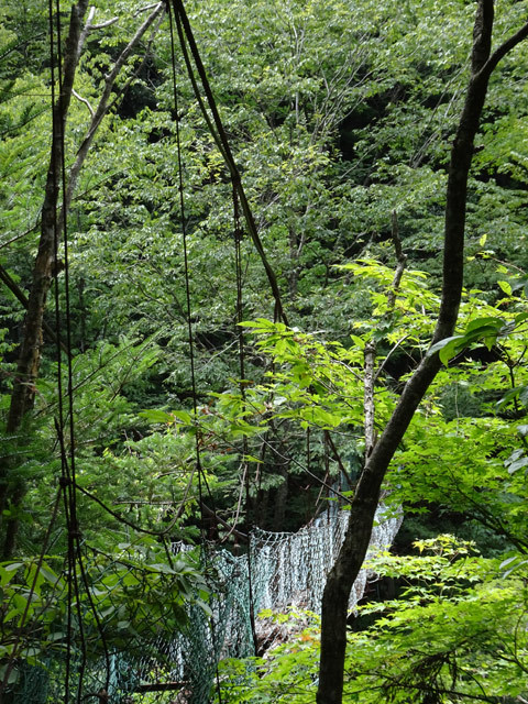 晩夏の野迫川探検!〜山上の集落から脱出せよ!_c0107075_14445081.jpg