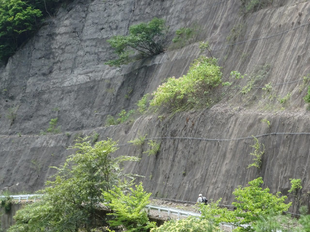 晩夏の野迫川探検!〜山上の集落から脱出せよ!_c0107075_14445107.jpg