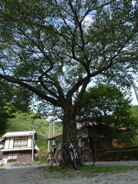 晩夏の野迫川探検!〜山上の集落から脱出せよ!_c0107075_14451227.jpg