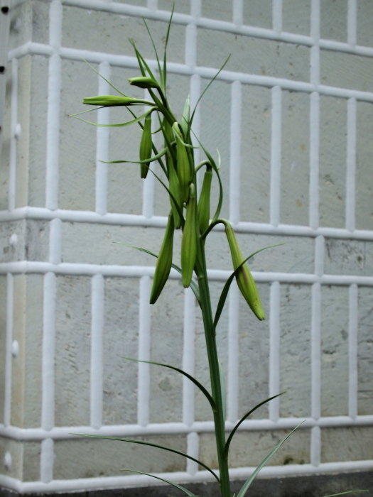f0371079_08535042.jpg