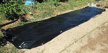f0003283_18564838.jpg