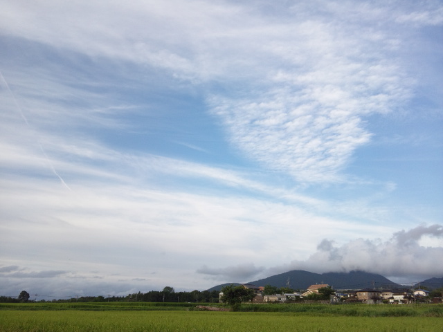 a0105396_14301418.jpg