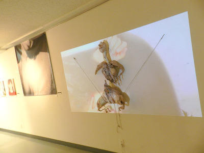 【両室】〜9/5 Himanities_f0106896_18271774.jpg