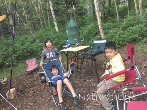 b0162000_15221340.gif