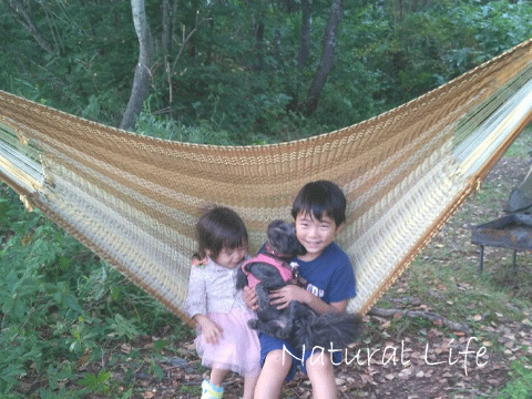 b0162000_15222026.gif