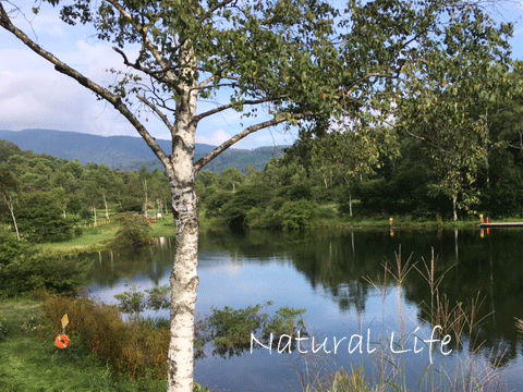 b0162000_15222836.gif