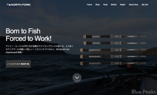 ウェブサイト停止のお知らせ_a0183304_14112588.png