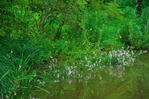 a0263109_20064496.jpg