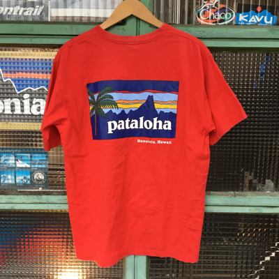 パタゴニア Tシャツ_f0354509_14351335.png