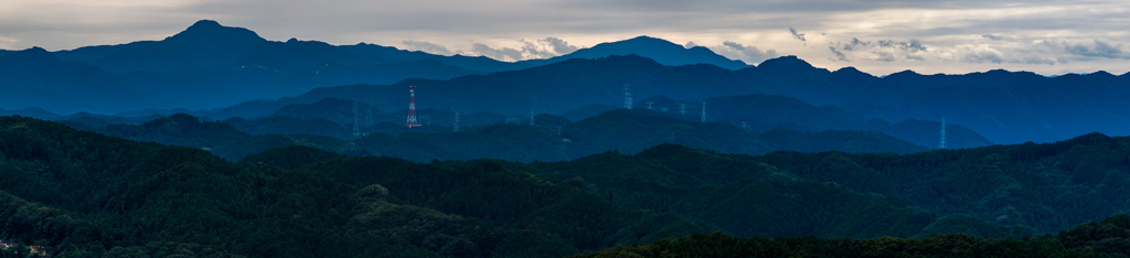 今日の巾着田と日和田山_b0010915_18352775.jpg