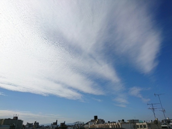 d0212522_18464608.jpg